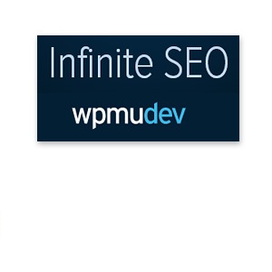 infinite-seo-crack