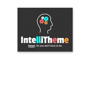intelli-theme-crack