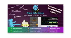 ninja-kick-crack