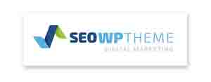seo-wp-theme-crack