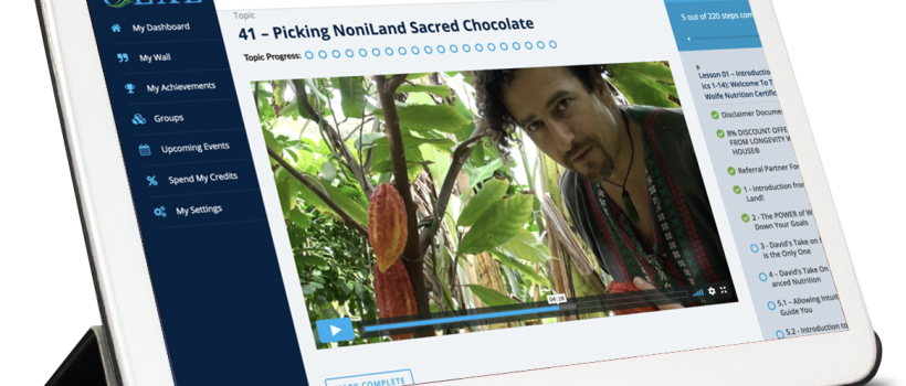 Online-Holistic-Nutrition-Certification-Picking-NoniLand-Cacao-With-David-Avocado-Wolfe