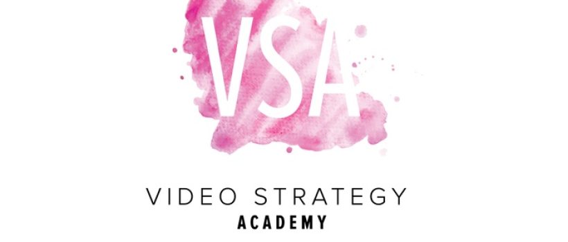 VSA_logos-06