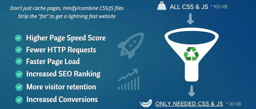 Latest-Asset-CleanUp-Pro-WordPress-Plugin-Free-Download-1