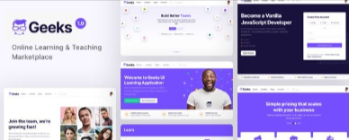 Geeks-v1-1-11-Online-Learning-Marketplace-WordPress-Theme