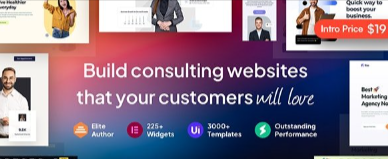 Rise-v1-0-1-Business-Consulting-WordPress-Theme