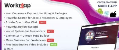 Workreap-v2-5-4-Freelance-Marketplace-WordPress-Theme